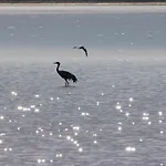 La Laguna Y La Buhardilla De La Laguna Venkovský dům