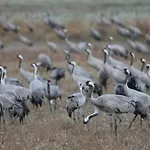 Venkovský dům La Laguna Y La Buhardilla De La Laguna