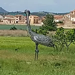La Laguna Y La Buhardilla De La Laguna منزل ريفي *