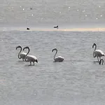Venkovský dům La Laguna Y La Buhardilla De La Laguna