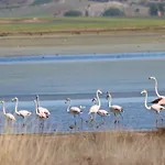 La Laguna Y La Buhardilla De La Laguna *