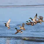 La Laguna Y La Buhardilla De La Laguna Venkovský dům *