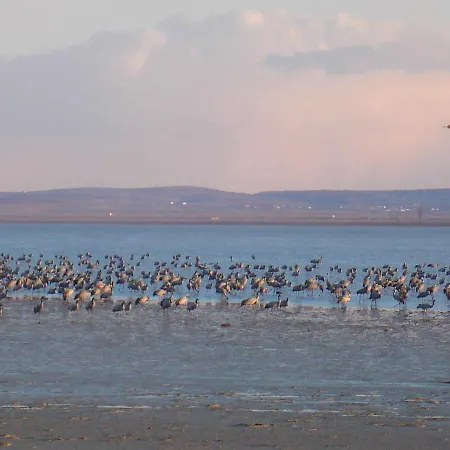 La Laguna Y La Buhardilla De La Lagu * Gallocanta