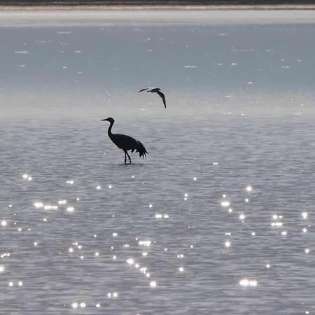 La Laguna Y La Buhardilla De La Laguna Venkovský dům