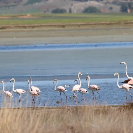 La Laguna Y La Buhardilla De La Laguna *