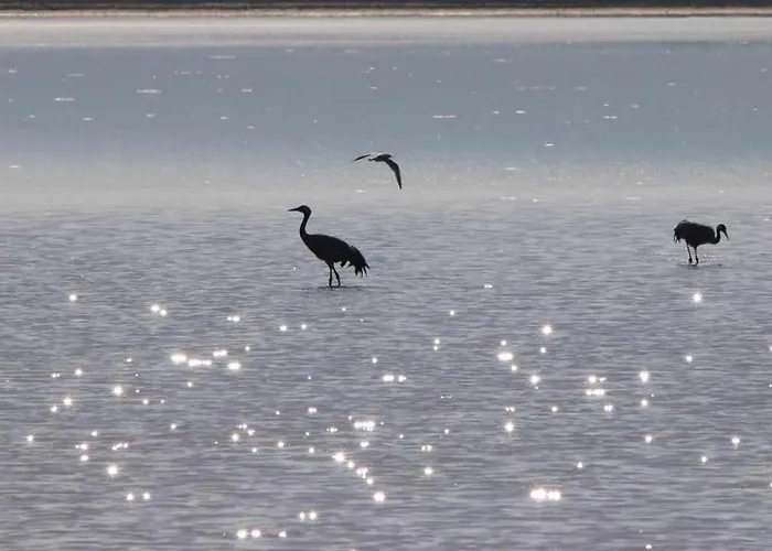 La Laguna Y La Buhardilla De La Lagu Casa di campagna