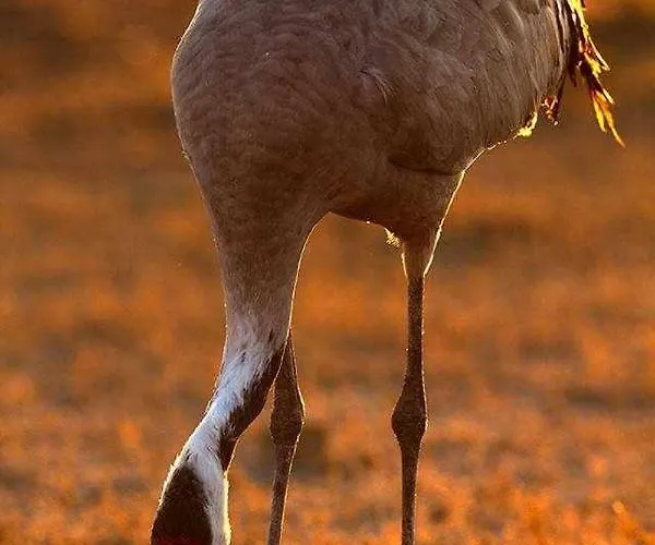 La Laguna Y La Buhardilla De La Lagu Casa di campagna *