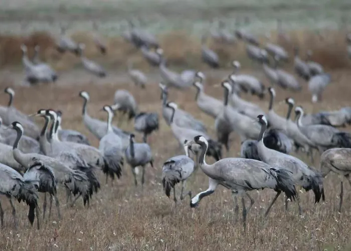 Casa di campagna La Laguna Y La Buhardilla De La Lagu