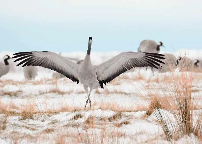 La Laguna Y La Buhardilla De La Lagu *