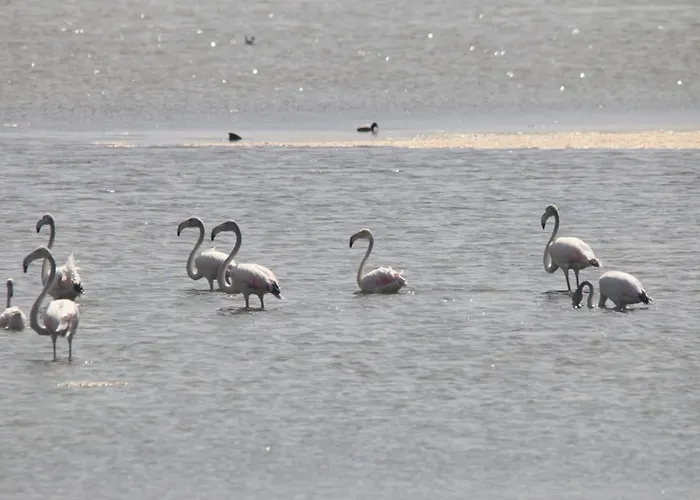 Casa di campagna La Laguna Y La Buhardilla De La Lagu