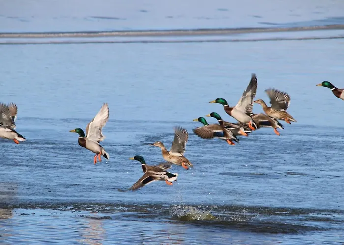 La Laguna Y La Buhardilla De La Lagu Casa di campagna *